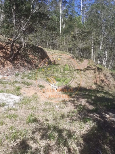 Fazenda-Sítio-Chácara, 2 hectares - Foto 3