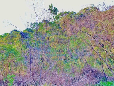 Fazenda-Sítio-Chácara - Foto 4