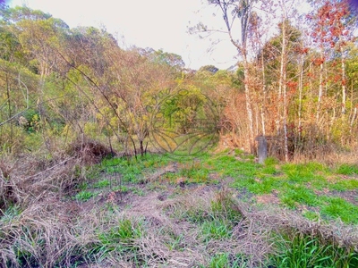 Fazenda-Sítio-Chácara - Foto 2