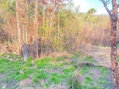 Fazenda-Sítio-Chácara - Foto 1