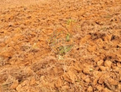 Sítio, 2 quartos, 25 m² - Foto 4