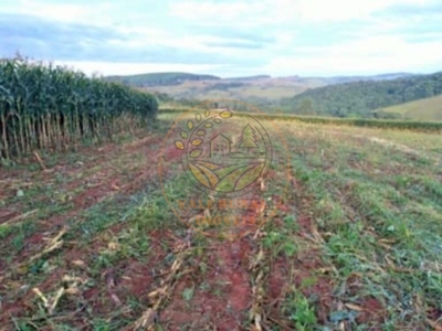 Sítio, 2 quartos, 25 m² - Foto 2