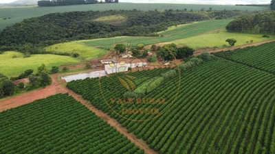 Fazenda-Sítio-Chácara - Foto 5