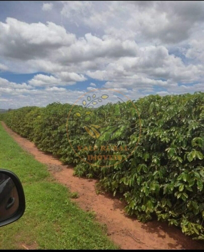 Fazenda-Sítio-Chácara - Foto 3