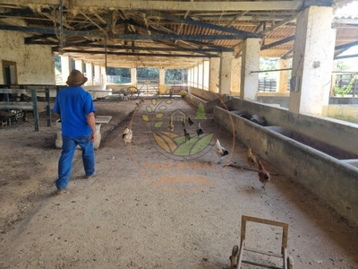 Fazenda-Sítio-Chácara - Foto 3