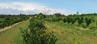 Fazenda-Sítio-Chácara - Foto 2