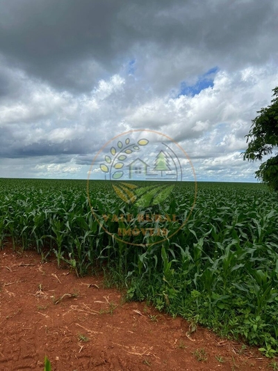 Fazenda-Sítio-Chácara, 796 m² - Foto 1