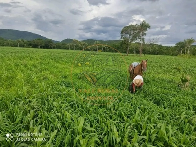 Fazenda-Sítio-Chácara - Foto 2
