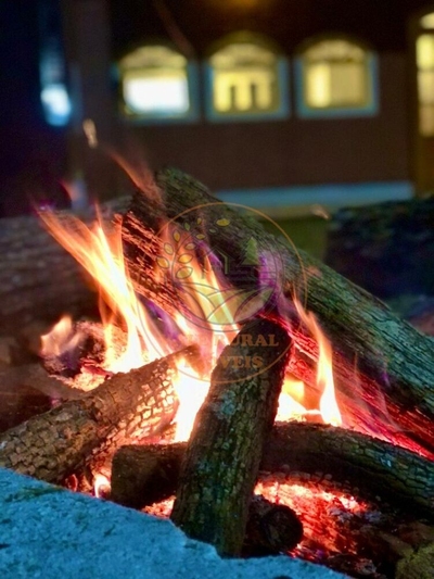 Chácara, 2 quartos, 2 hectares - Foto 4