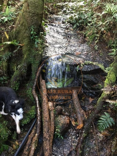 Fazenda, 3 quartos - Foto 4