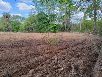 Fazenda, 2 quartos - Foto 2