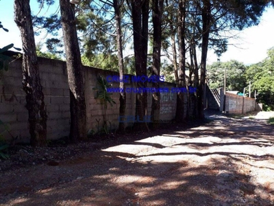 Chácara, 2 quartos, 4052 m² - Foto 4