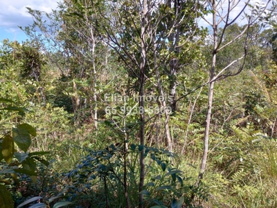 Terreno, 10 m² - Foto 5