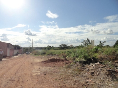 Terreno, 23140 m² - Foto 5