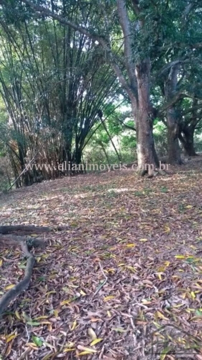 Chácara, 1 quarto - Foto 1