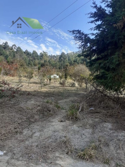 Sítio, 3 quartos, 121000 m² - Foto 4