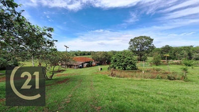 Sítio, 11 hectares - Foto 1