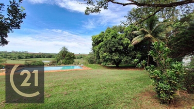 Sítio, 11 hectares - Foto 3