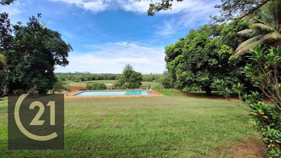 Sítio, 11 hectares - Foto 2