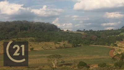 Fazenda, 137 hectares - Foto 4