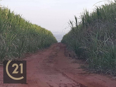 Fazenda, 137 hectares - Foto 2