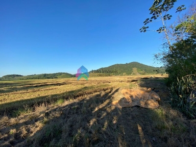 Terreno, 8 hectares - Foto 3