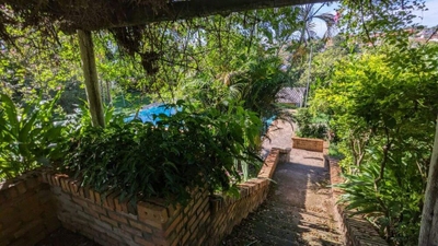 Sítio, 3 quartos, 6000 m² - Foto 2