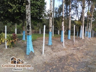 Chácara, 3 quartos - Foto 4