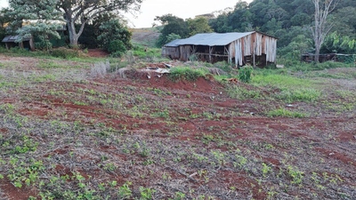 Fazenda-Sítio-Chácara, 15 hectares - Foto 4