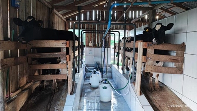 Sítio, 2 quartos, 8 hectares - Foto 4