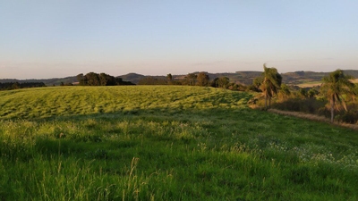 Fazenda-Sítio-Chácara, 60 hectares - Foto 1