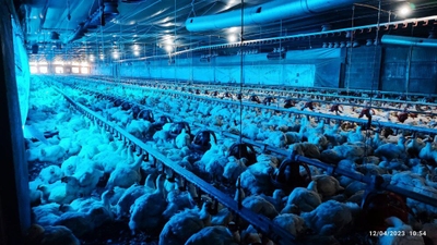 Fazenda-Sítio-Chácara, 12 hectares - Foto 2