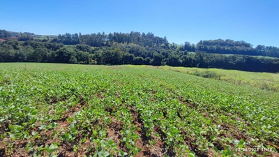 Fazenda-Sítio-Chácara, 12 hectares - Foto 4