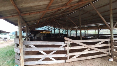 Terreno, 2 hectares - Foto 2