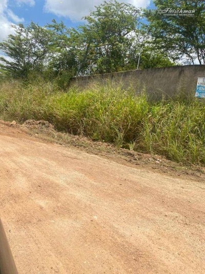 Casa, 5 quartos, 298 m² - Foto 5