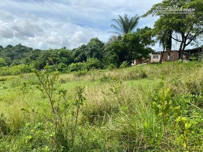 Terreno, 2 hectares - Foto 2