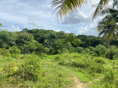 Terreno, 2 hectares - Foto 3