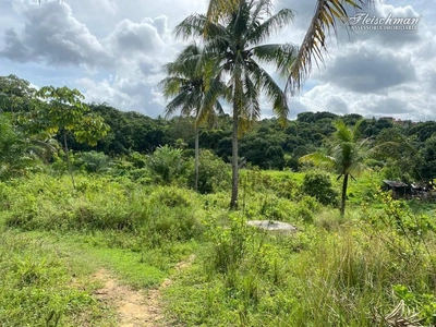 Terreno, 2 hectares - Foto 4