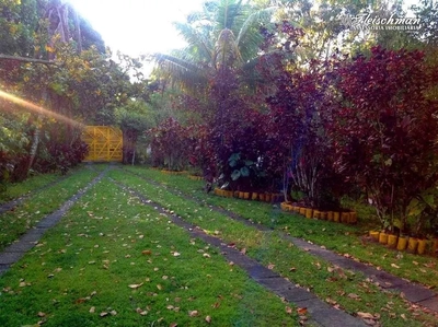 Chácara, 3 quartos, 1 hectares - Foto 5