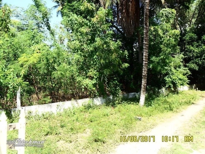 Terreno, 1 hectares - Foto 4