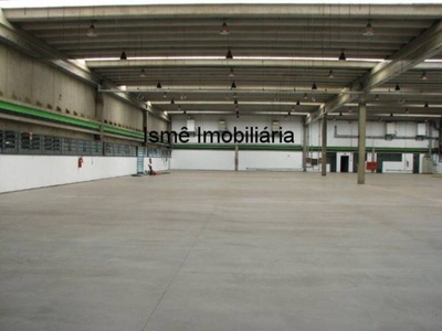 Depósito-Galpão, 4772 m² - Foto 5