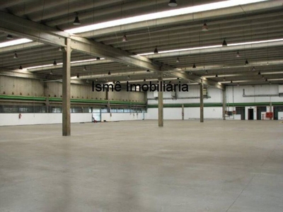 Depósito-Galpão, 4772 m² - Foto 4