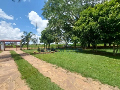 Chácara, 5 quartos, 2 hectares - Foto 3