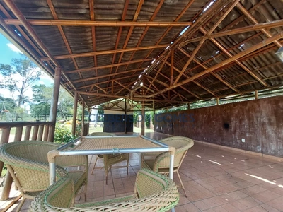 Chácara, 5 quartos, 2 hectares - Foto 5