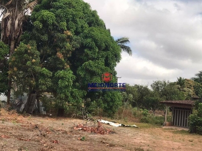 Chácara, 1 quarto, 3 hectares - Foto 3