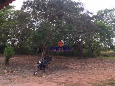 Chácara, 1 quarto, 3 hectares - Foto 4