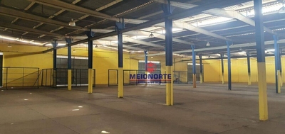 Depósito-Galpão, 3000 m² - Foto 4