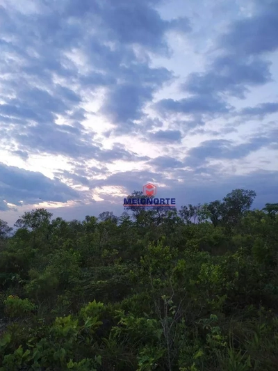 Fazenda, 3100 hectares - Foto 4