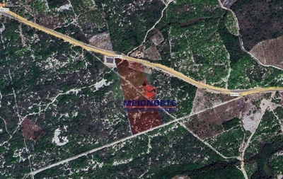 Terreno, 4 hectares - Foto 4