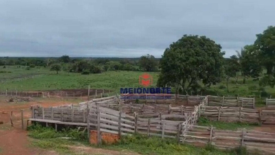 Fazenda-Sítio-Chácara, 1440 hectares - Foto 4